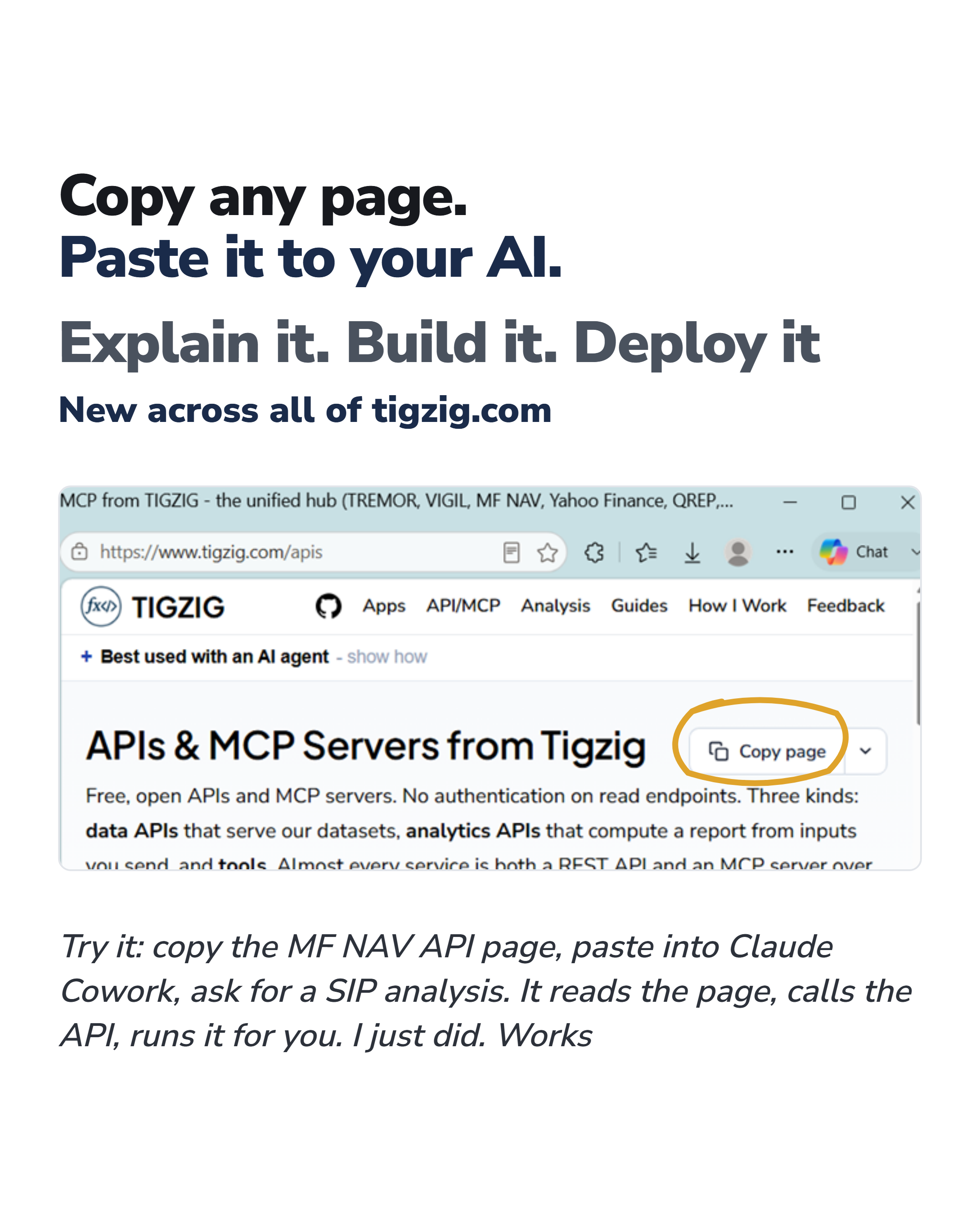 Copy page button on tigzig.com - one-pager overview