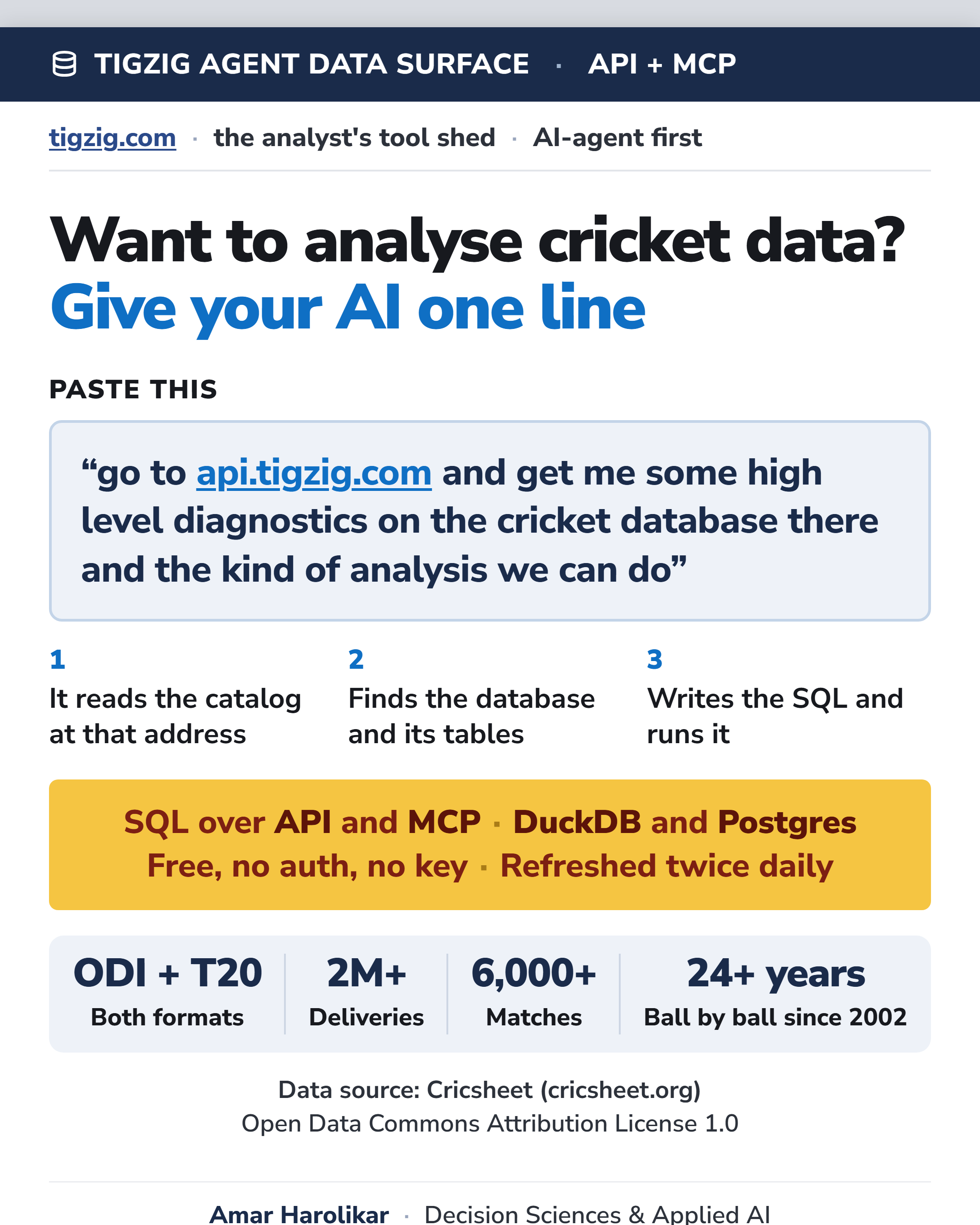 Have Your AI Analyze the Cricket Data on Tigzig. 24+ Years of Ball by Ball, ODI and T20, Across 6000+ Matches.