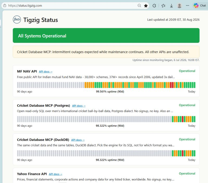 The Tigzig API status page